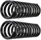 APDTY 144632 Coil Springs Replaces 3923376, 3952809