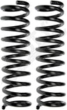 APDTY 144632 Coil Springs Replaces 3923376, 3952809
