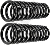 APDTY 144636 Coil Springs Replaces 388281, 3928303