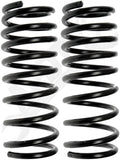 APDTY 144637 Coil Springs Replaces DM14123456