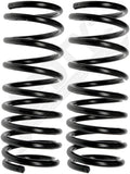 APDTY 144637 Coil Springs Replaces DM14123456
