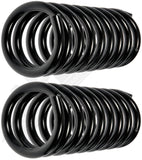APDTY 144643 Coil Springs Replaces 1370884, 3988122
