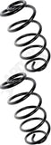 APDTY 144644 Coil Springs Replaces 9793160, 9793257