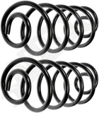 APDTY 144644 Coil Springs Replaces 9793160, 9793257