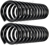 APDTY 144645 Coil Springs Replaces 3895814, 395764