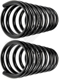 APDTY 144648 Coil Springs Replaces 52039018, 52039020