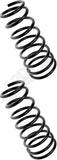 APDTY 144653 Coil Springs
