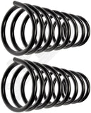 APDTY 144653 Coil Springs