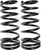 APDTY 144659 Coil Springs Replaces 52039020, 52039022