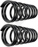 APDTY 144659 Coil Springs Replaces 52039020, 52039022