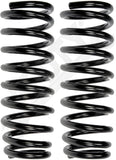 APDTY 144666 Coil Springs Replaces 553502H121, 553502H221