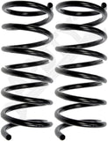 APDTY 144670 Coil Springs
