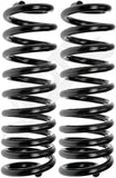 APDTY 144672 Coil Springs