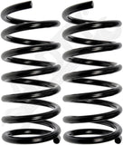 APDTY 144676 Coil Springs
