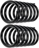 APDTY 144676 Coil Springs