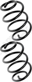 APDTY 144679 Coil Springs