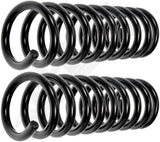 APDTY 144686 Coil Springs