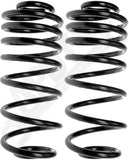 APDTY 144693 Coil Springs