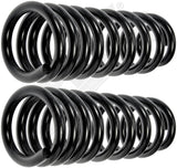 APDTY 144695 Coil Springs