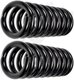 APDTY 144696 Coil Springs