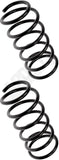 APDTY 144699 Coil Springs