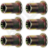 APDTY 157078 Rivet Nut - M6