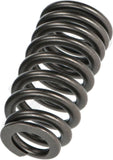 APDTY 171081x24 Valve Spring Kit; Set Of 24; 3.6L Engine; Replaces 5184060AN