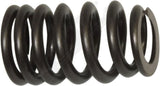 APDTY 171101x12 Engine Valve Spring Kit; Set Of 12; Replaces 53020749AC