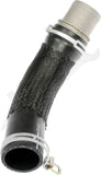 APDTY 175331 Engine Radiator Hose