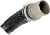 APDTY 175331 Engine Radiator Hose