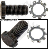 APDTY 789261 Flywheel Bolts 10pcs And Tooth Lock Washers 10pcs