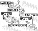 Febest NAB-338 Bushing, Rear Lower Control Arm