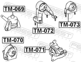 Febest TM-069 Right Engine Mount (Hydro)