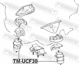 Febest TM-UCF30 Engine Mount (Hydro)