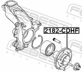 Febest 2182-CDHF Front Wheel Hub