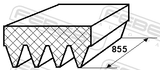 Febest 88126-4L855 Poly-V Belt 4 Ribs (Epdm+Fiber)