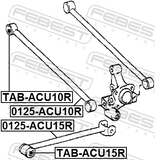 Febest 0125-ACU10R Rear Transverse Link