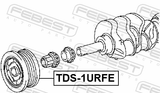Febest TDS-1URFE Crankshaft Pulley