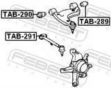 Febest TAB-291 Bushing, Rear Transverse Arm