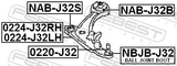 Febest NAB-J32B Rear Bushing, Front Control Arm (Hydro)