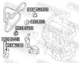 Febest 1290-D4HB Belt Tensioner