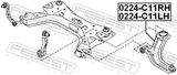 Febest 0224-C11RH Right Front Arm