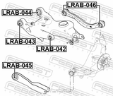 Febest LRAB-045 Bushing, Rear Lower Control Arm