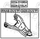 Febest 0224-D10RH Right Front Arm