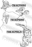 Febest TM-NCP90RR Rear Engine Mount