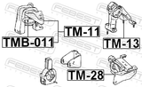Febest TM-11 Right Engine Mount (Hydro)
