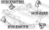 Febest HYM-ENMTRH Right Engine Mount (Hydro)