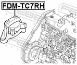 Febest FDM-TC7RH Right Engine Mount (Hydro)