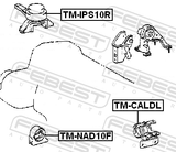Febest TM-NAD10F Front Engine Mount