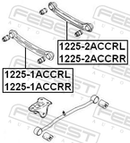 Febest 1225-1ACCRR Rear Right Transverse Link